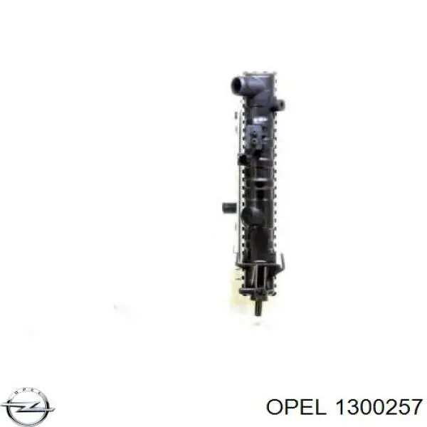 Радиатор охлаждения двигателя Opel 1300257 цена, от 50.45 USD
