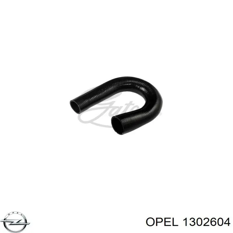 Шланг/патрубок интеркуллера Opel 24406722 цена, от 9.84 USD