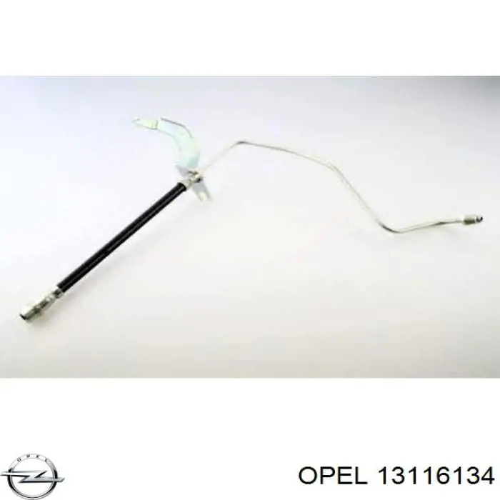 Купить 13116134 Opel Шланг тормозной задний правый