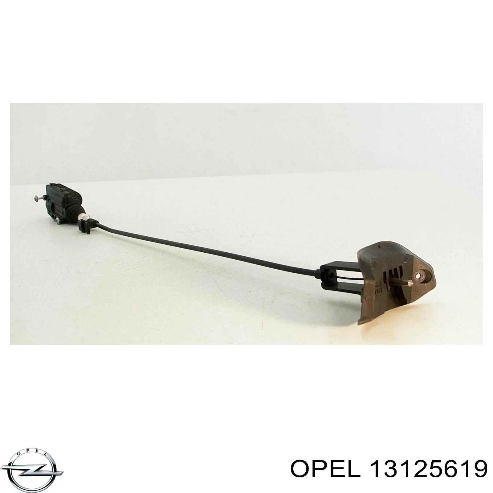Купить 13125619 Opel 