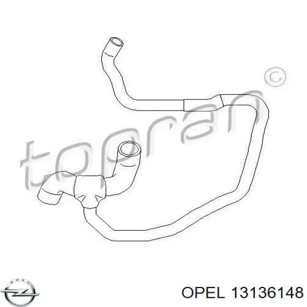 13136148 Opel шланг (патрубок радиатора охлаждения нижний)
