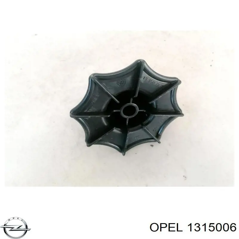 1315006 Opel 