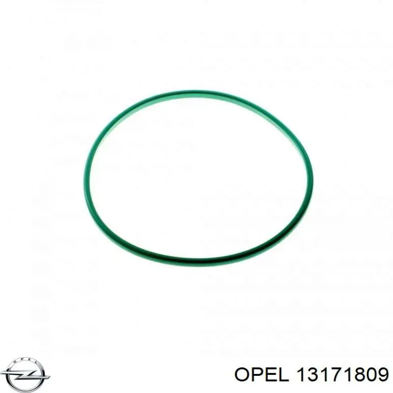 13171809 Opel 