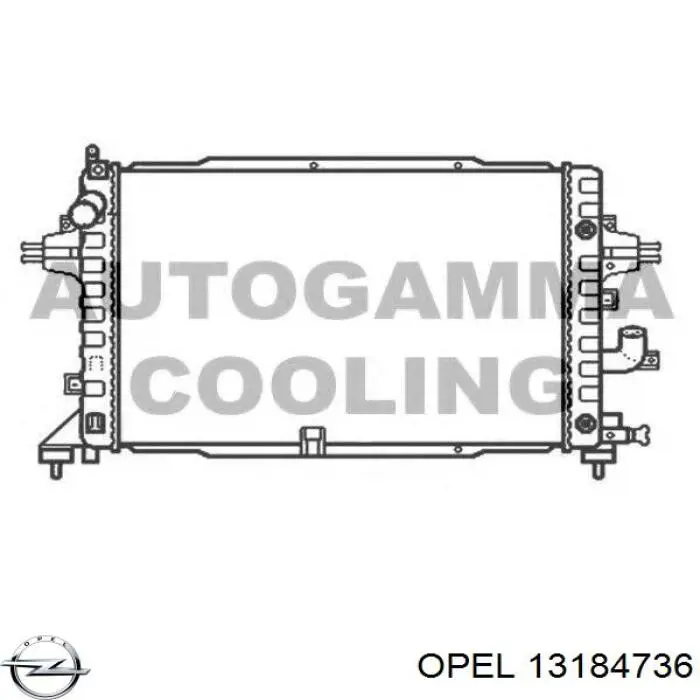 13184736 Opel Радиатор основной