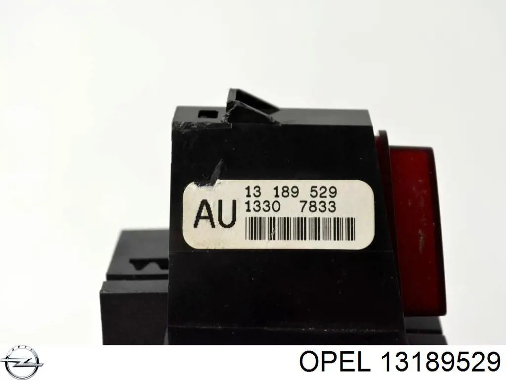  13189529 Opel
