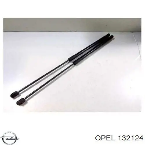  132124 Opel