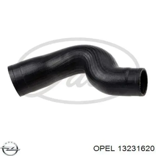13231620 Opel шланг (патрубок интеркуллера верхний)