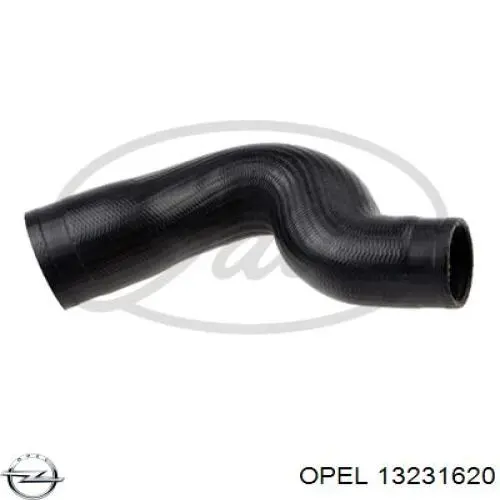 13231620 Opel mangueira (cano derivado superior de intercooler)