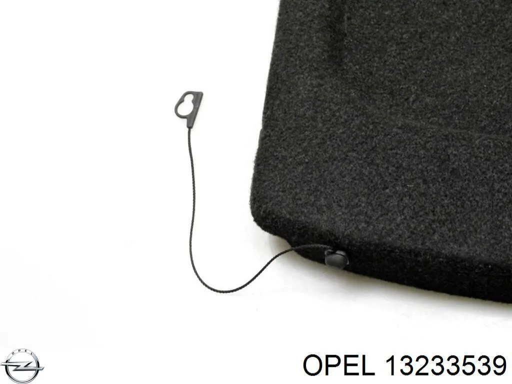  13233539 Opel