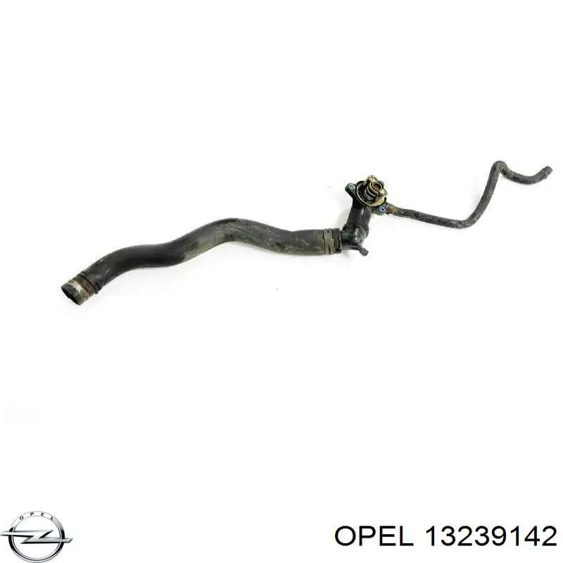 Шланг радиатора охлаждения Opel 13239142 цена, от 13.69 USD