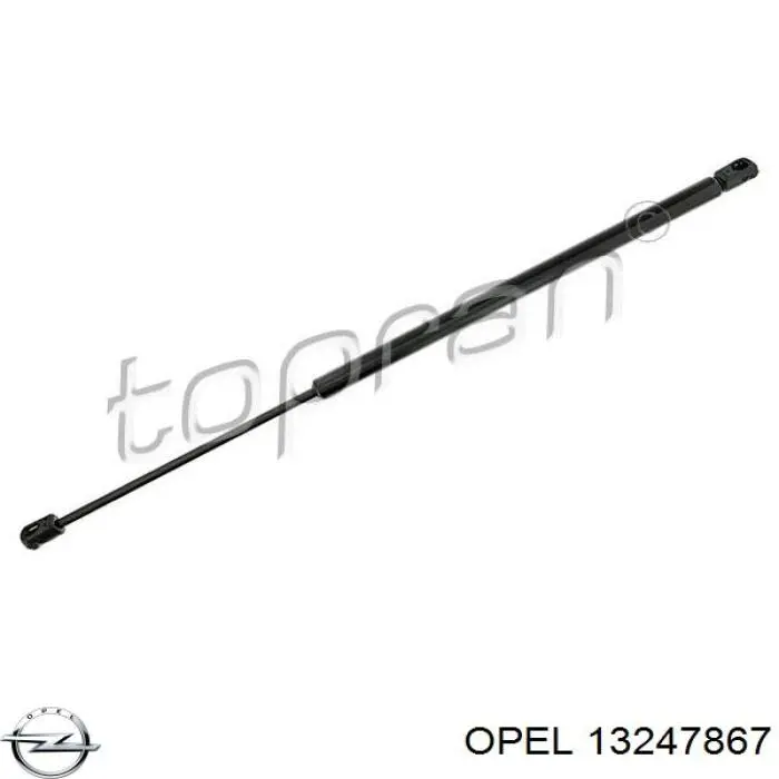 Амортизатор задней двери Opel 13247867 цена, от 10.07 USD