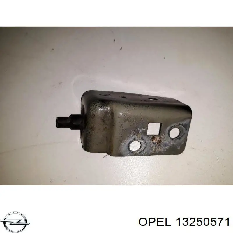  Opel 13250571 цена, от 10.52 USD