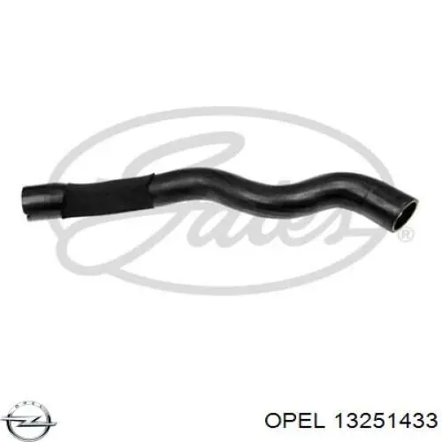 13251433 Opel mangueira (cano derivado do radiador de esfriamento superior)