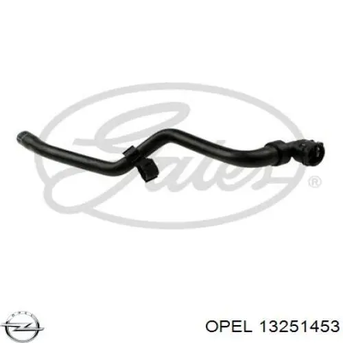 13251453 Opel mangueira do radiador de aquecedor (de forno, fornecimento)