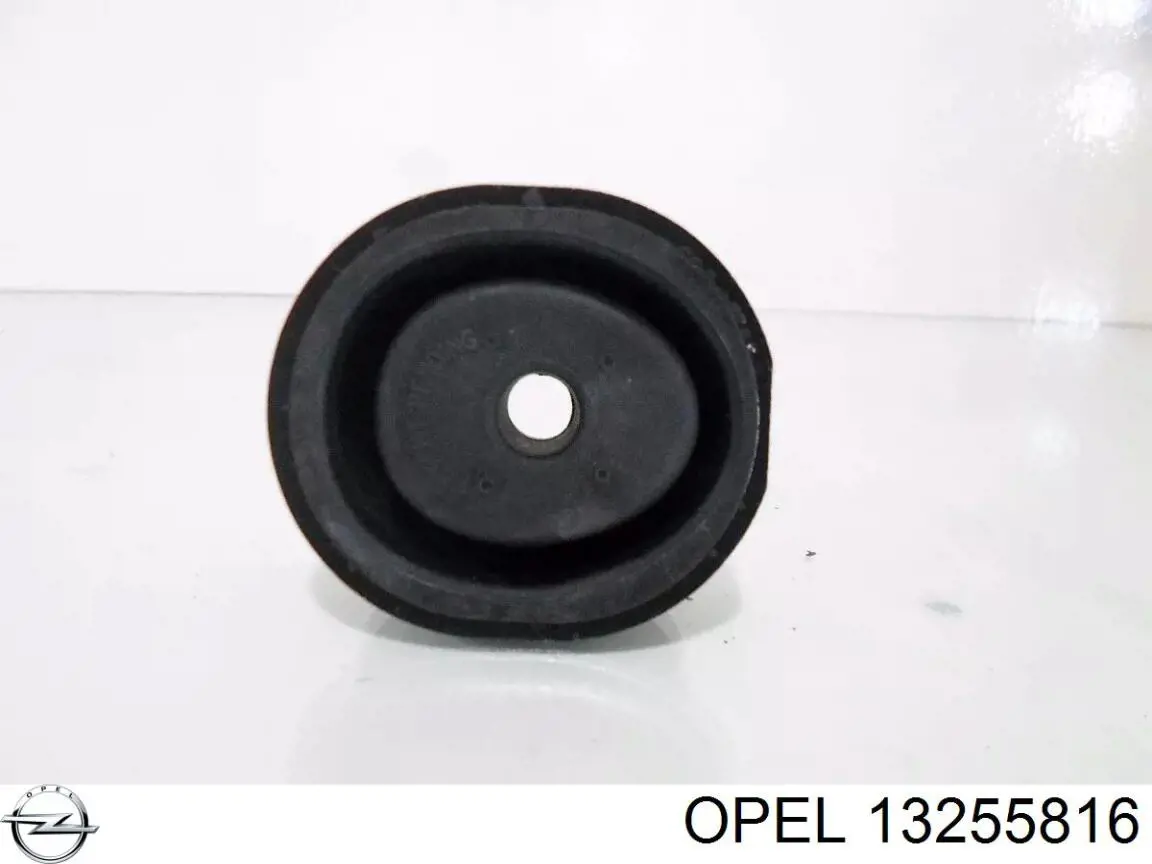 13255816 Opel 