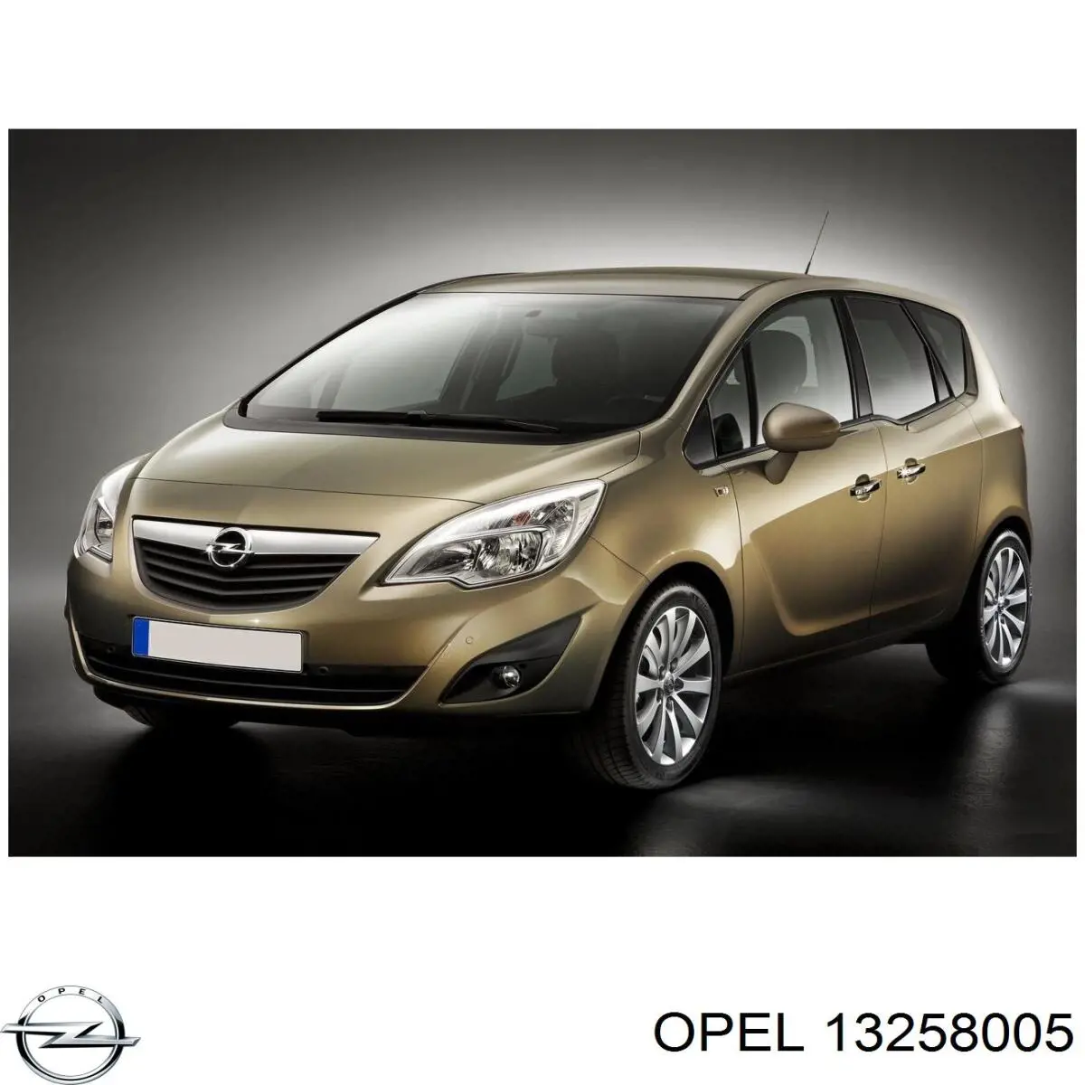  13258005 Opel