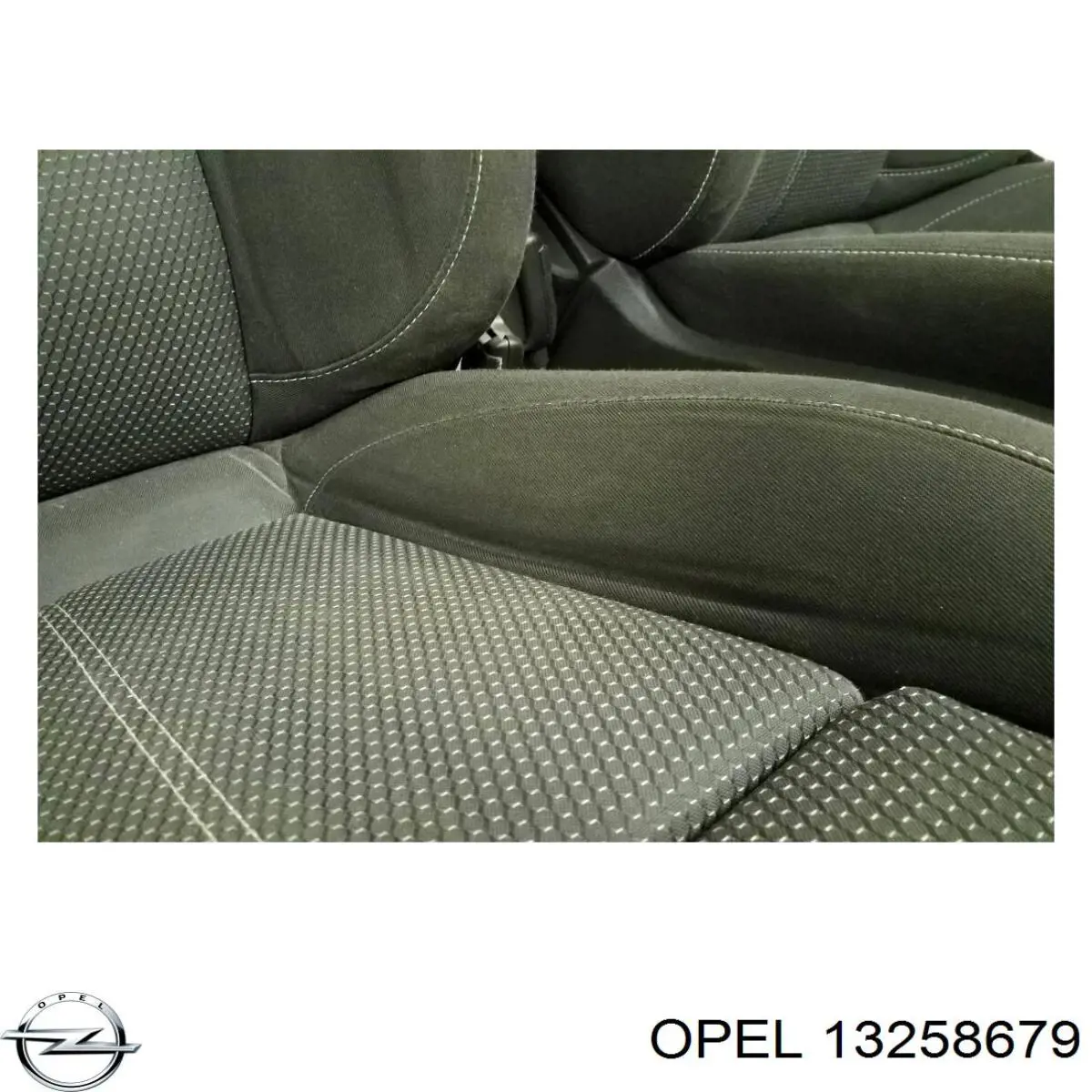 Купить 13258679 Peugeot/Citroen Дверная карта задняя левая
