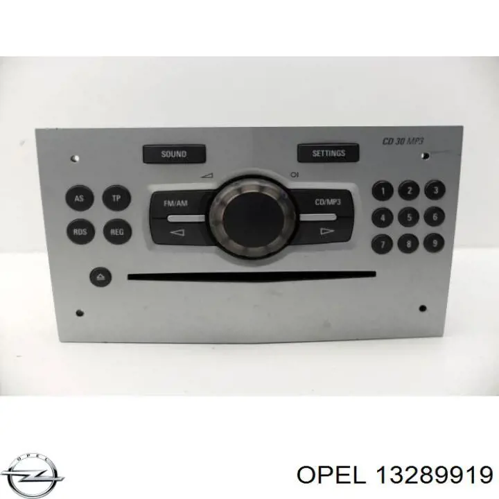 13289919 Opel 