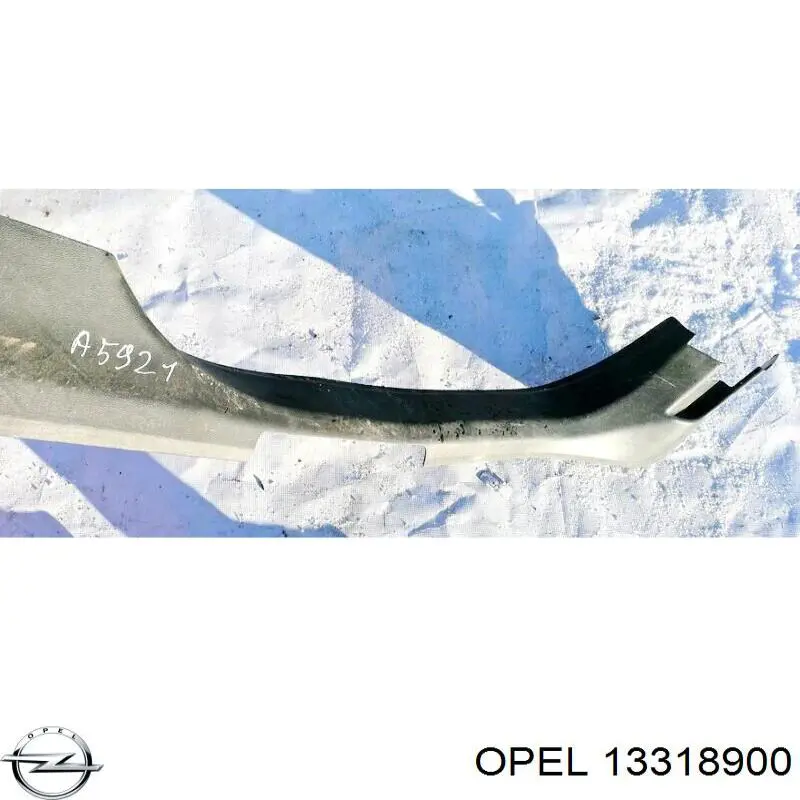 13318900 Opel 