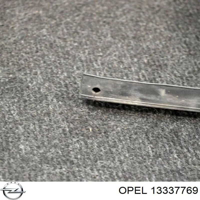  Opel 1310013