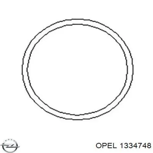 Прокладка водяной помпы Opel 1334748