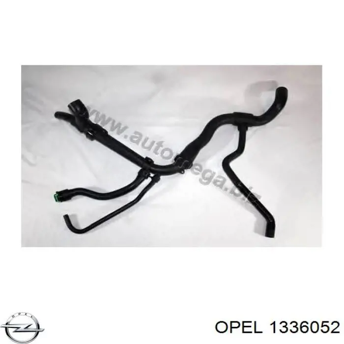 1336052 Opel mangueira (cano derivado inferior do radiador de esfriamento)