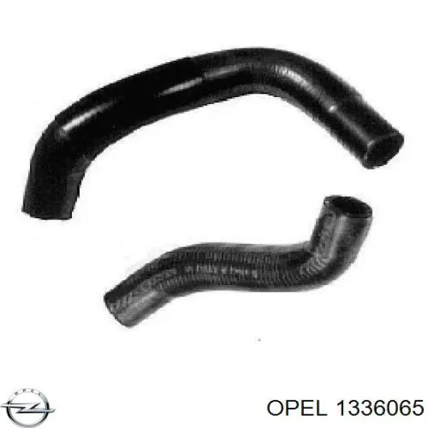  1336065 Opel