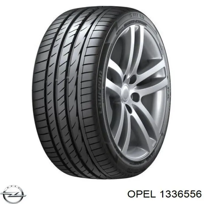 Купить 1336556 Opel Шланг радиатора охлаждения нижний