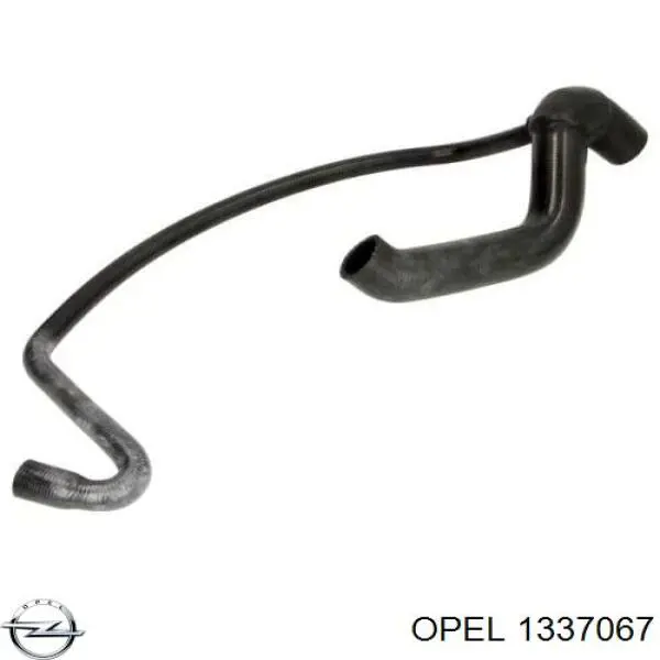  1337067 Opel