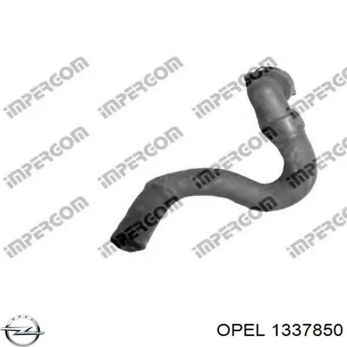 Купить 13261084 Opel Шланг радиатора охлаждения нижний
