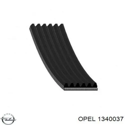 Купить 1340037 Opel Ремень генератора