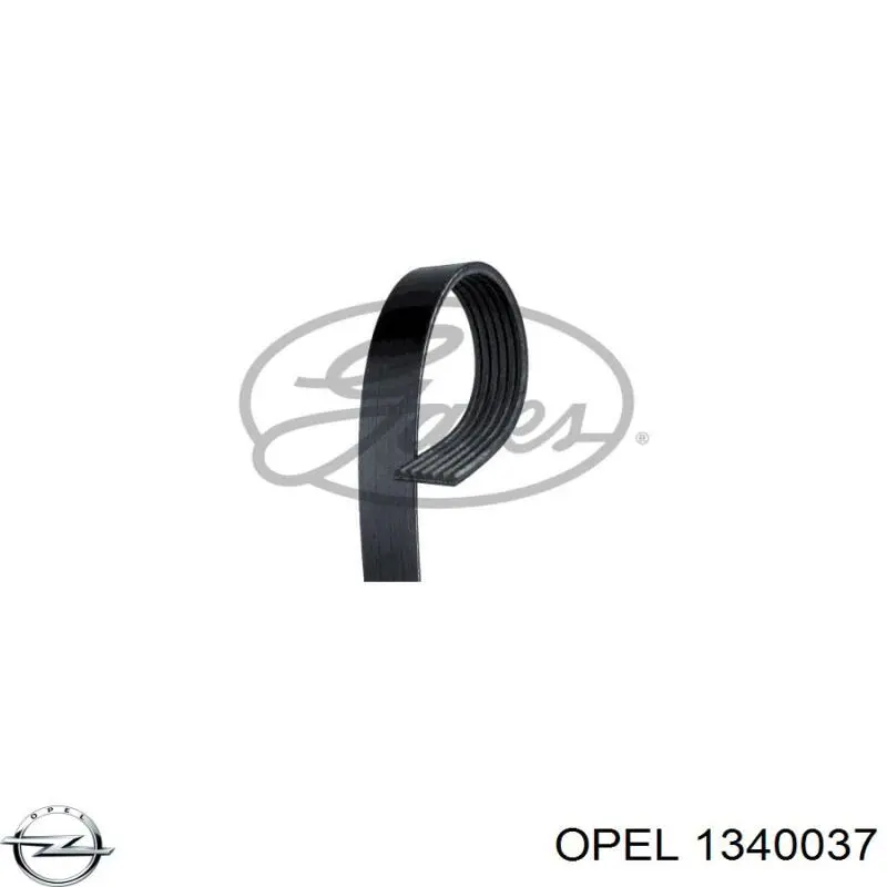 Ремень генератора 1340037 Opel