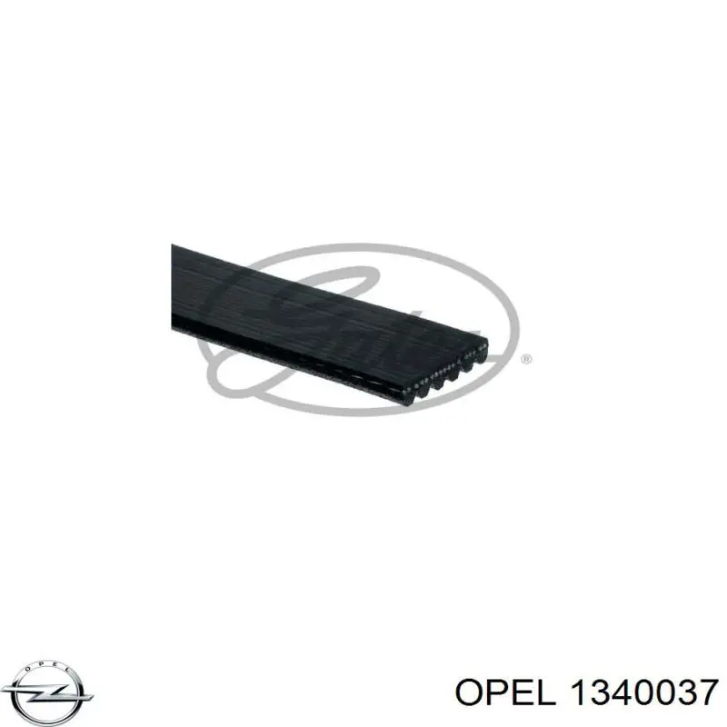 1340037 Opel Поликлиновый ремень