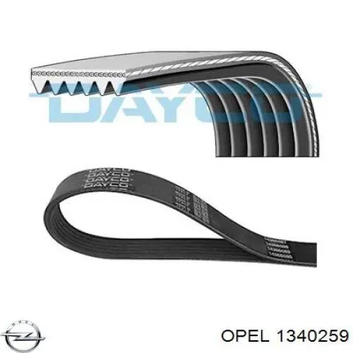 Купить 1340259 Opel Ремень генератора