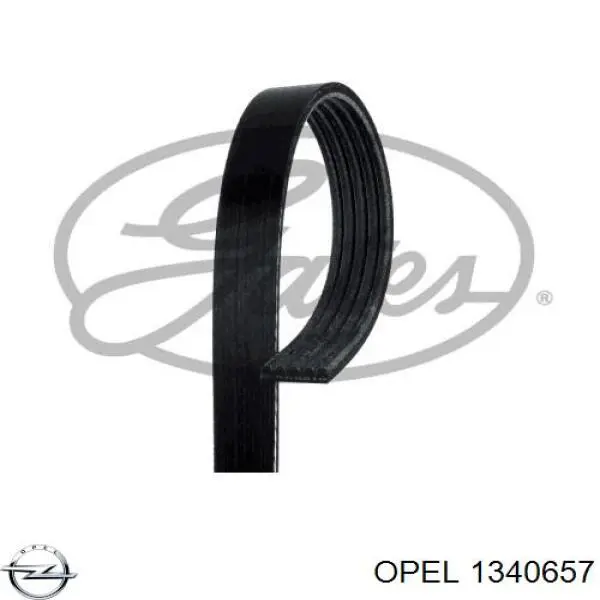Клиновый ремень Opel 1340657 цена, от 9.19 USD