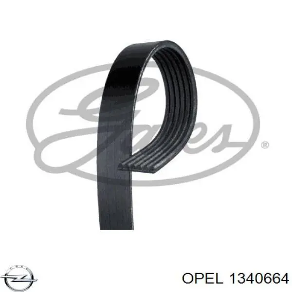 Купить 1340664 Opel Ремень генератора