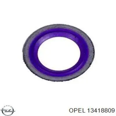 13418809 Opel 