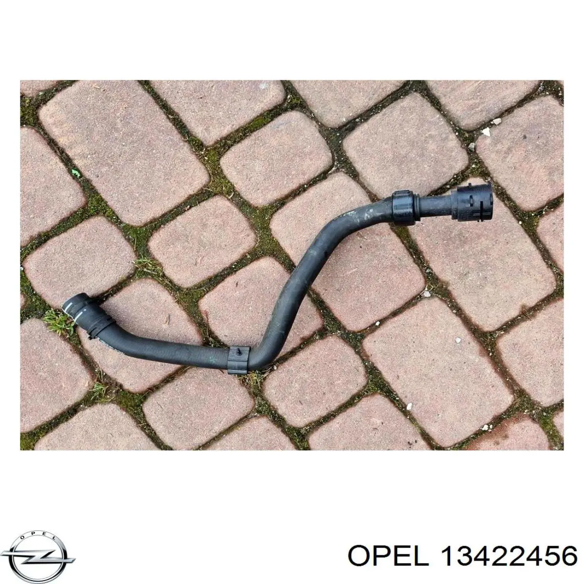 Шланг радиатора охлаждения Opel 13422456 цена, от 15.24 USD
