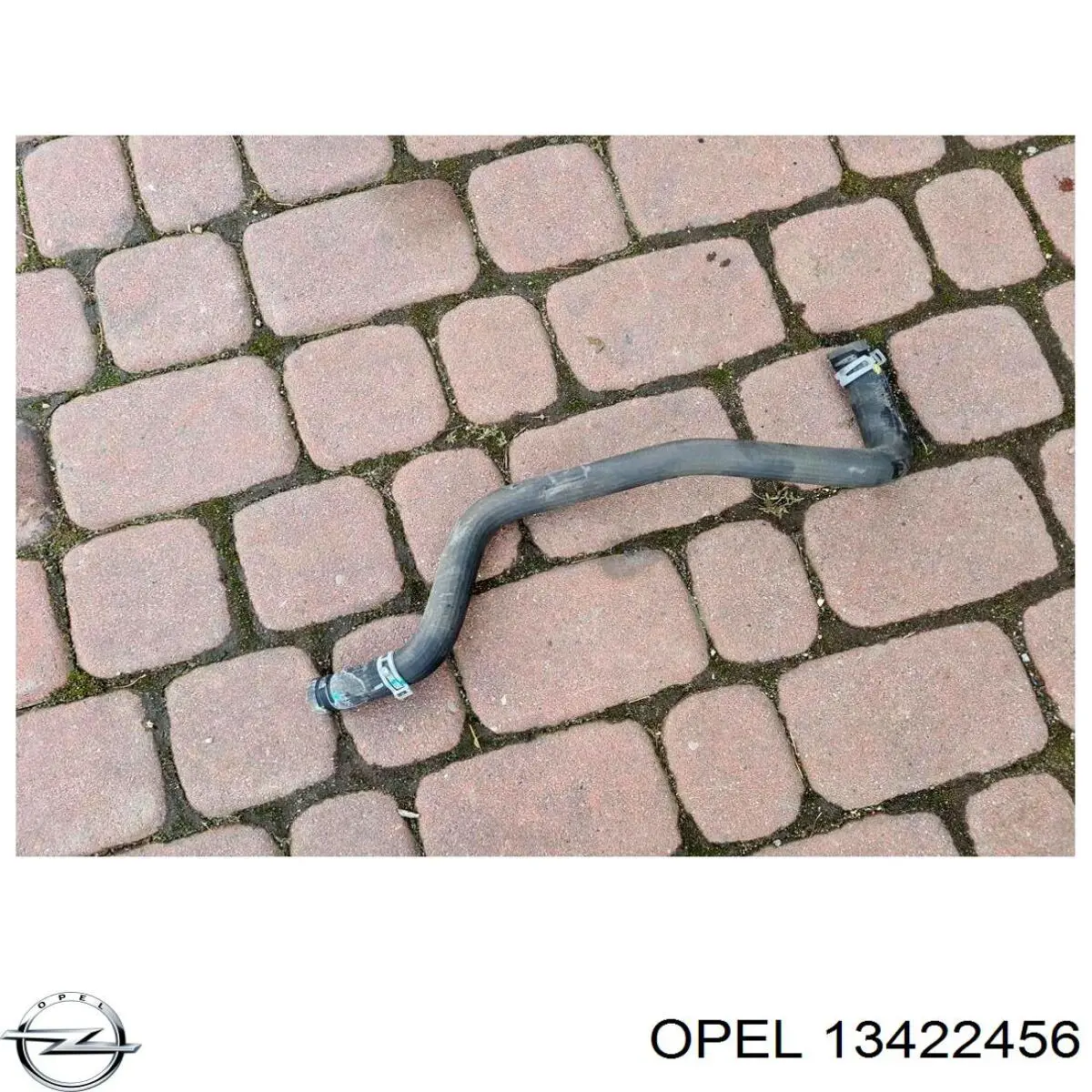 Купить 13422456 Opel Патрубок радиатора