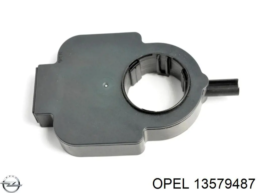  Opel 13579487