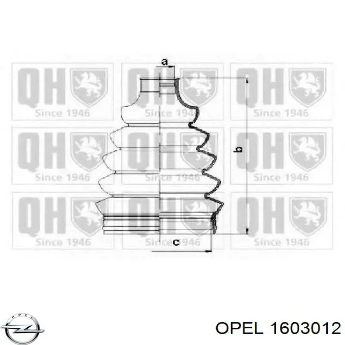 Купить 1603012 Opel Пыльник гранаты наружный, передний