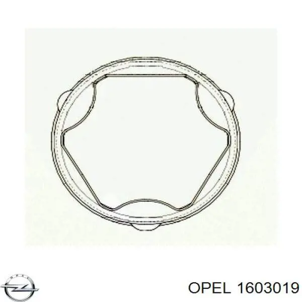 Пыльник шарнира угловых скоростей внутренний передний Opel 1603019 цена, от 13.50 USD