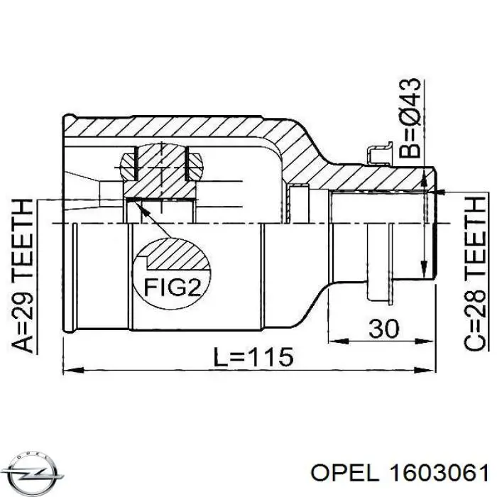 Пыльник шарнира угловых скоростей внутренний передний Opel 1603061 цена, от 15.66 USD