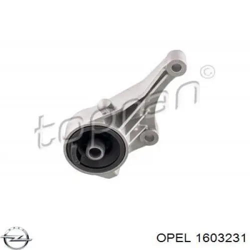 Купить 1603231 Opel Пыльник гранаты наружный, передний