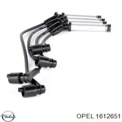 1612651 Opel высоковольтные провода