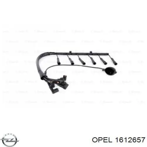 Купить 1612657 Opel Провода высокого напряжения