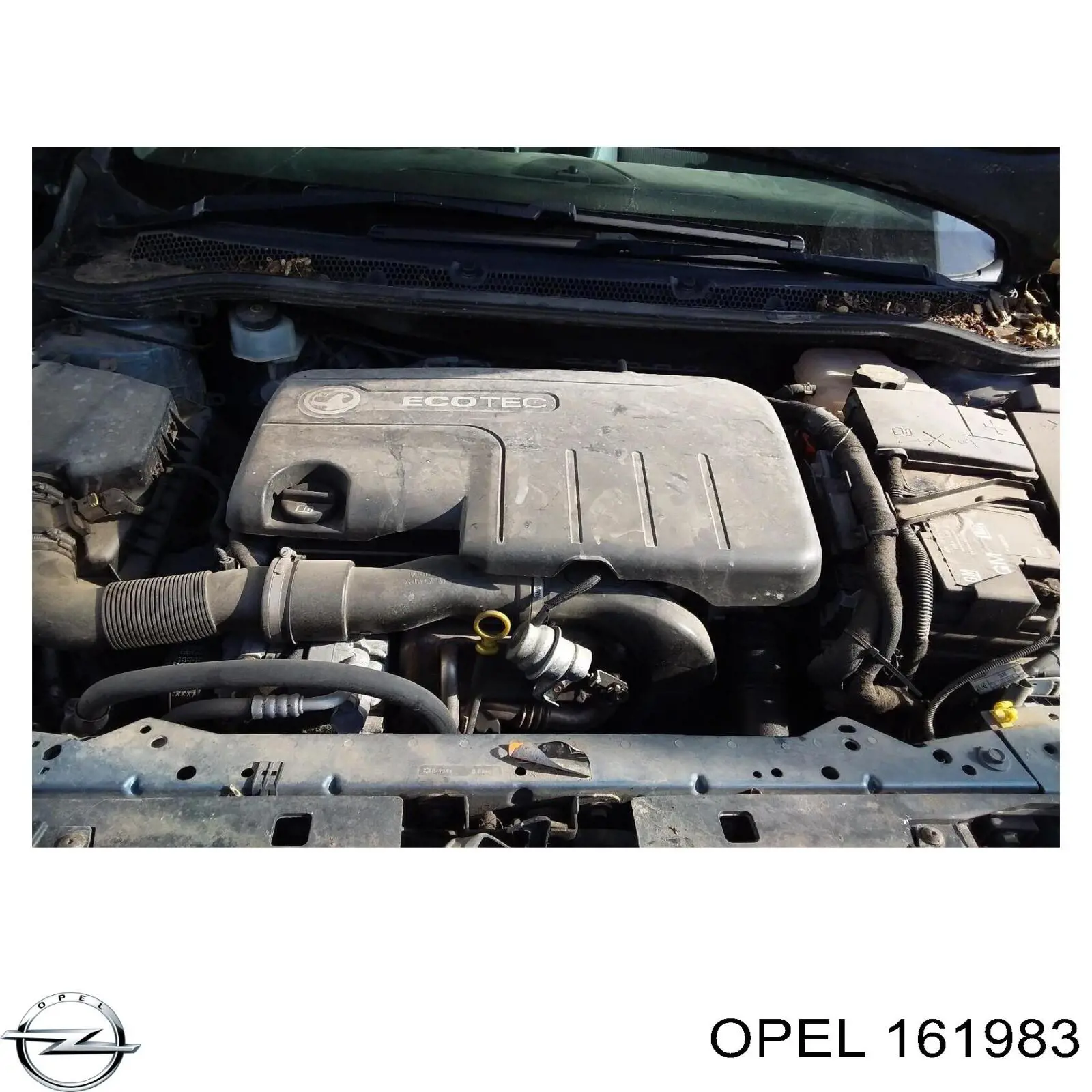 Стекло лобовое Opel 13137846 цена, от 20.89 USD