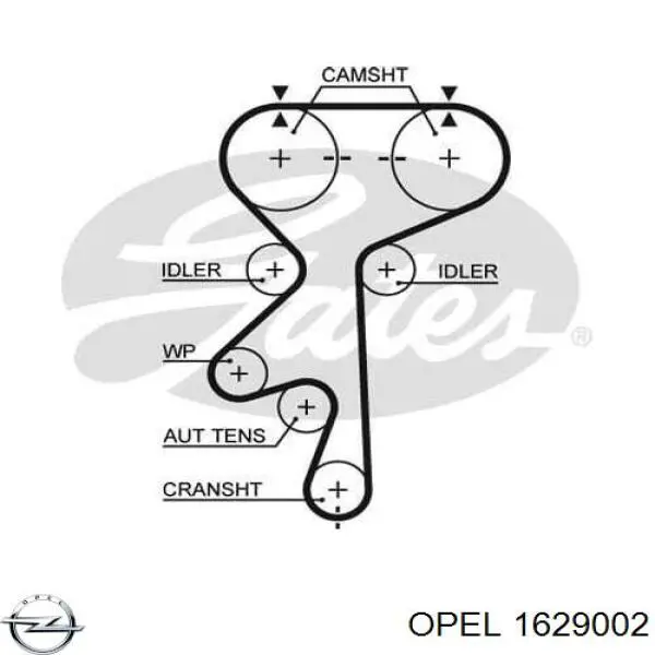 Купить 1629002 Opel Комплект ГРМ