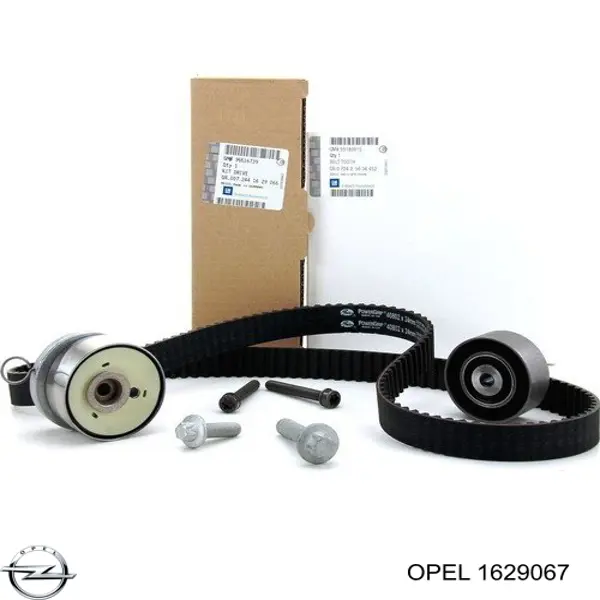 ГРМ ремни, комплект Opel 1629067 цена, от 96.32 USD