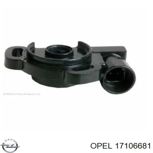 ДПДЗ Opel 17106681